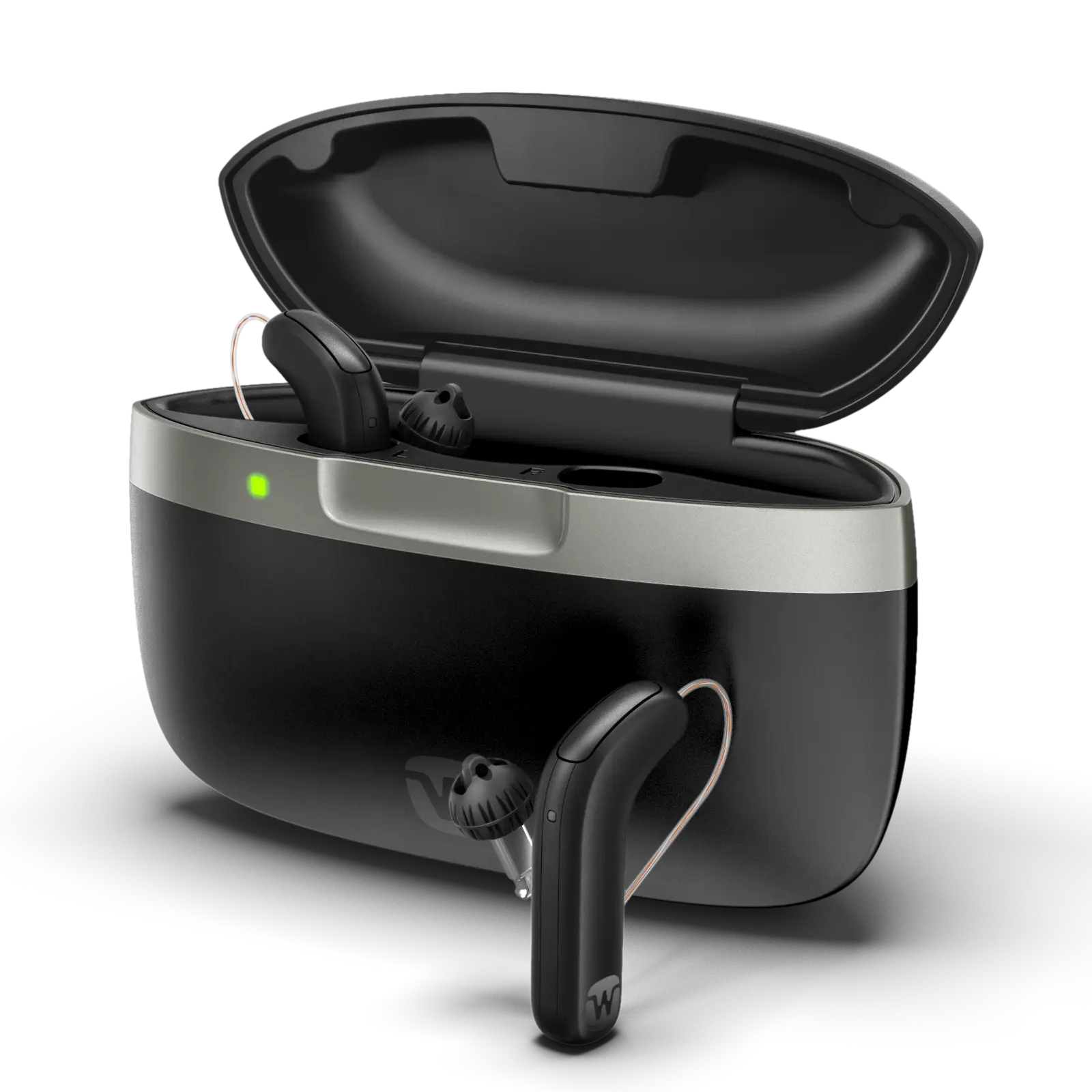 Hearing aid device